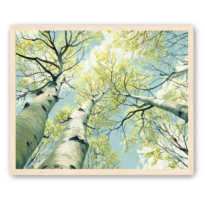 Branches Holding Light