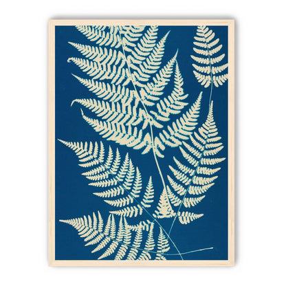 Ferns crossing blue field