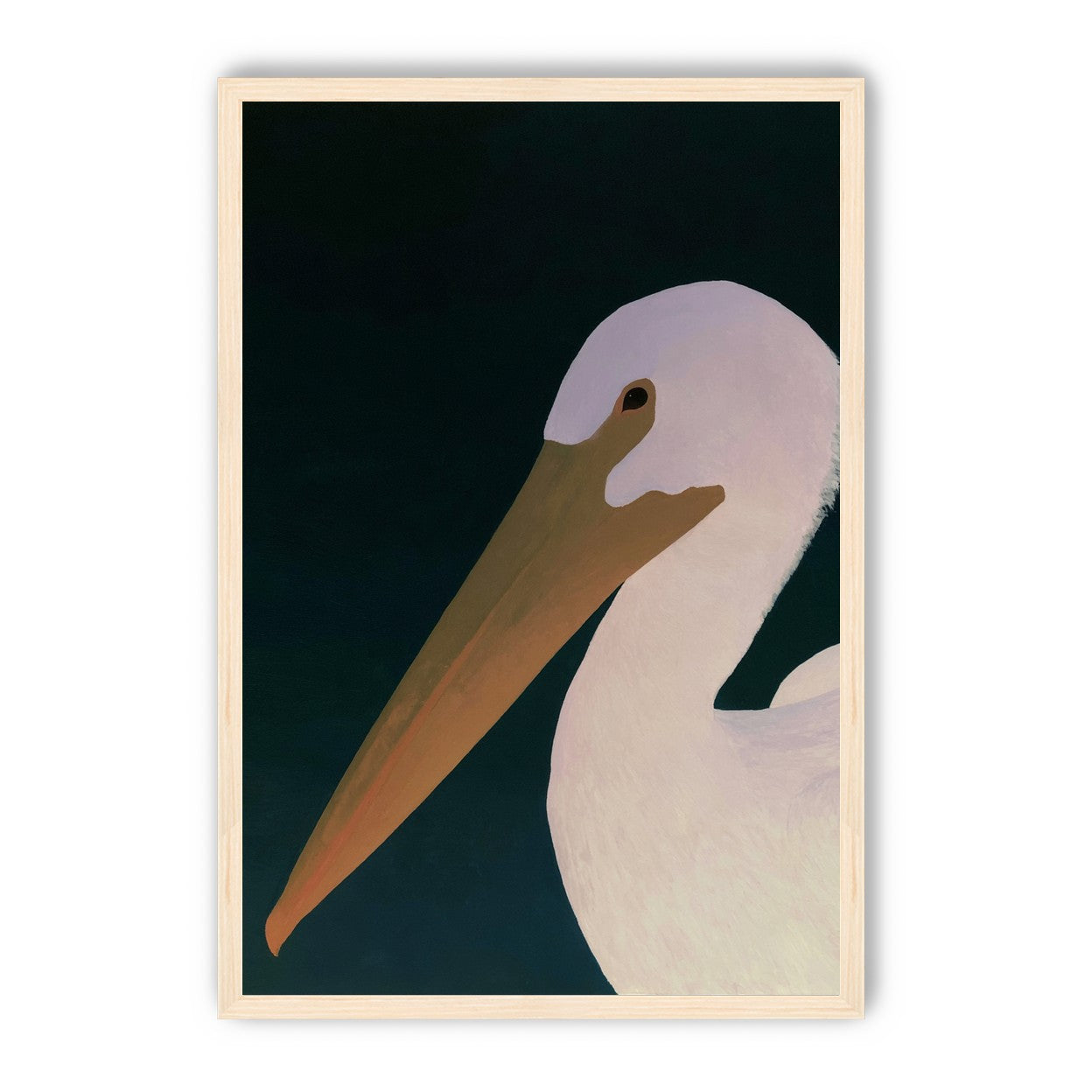 White pelican in stillness