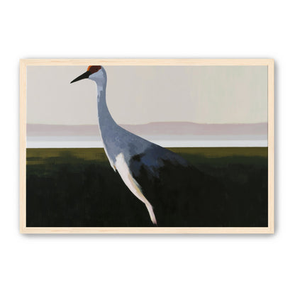 Crane with a red crown