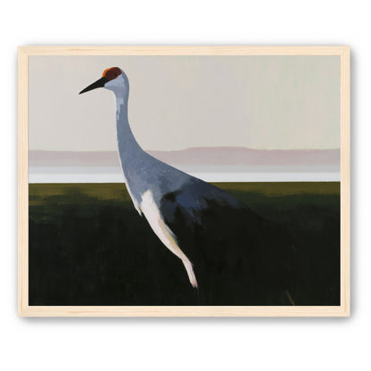 Crane with a red crown