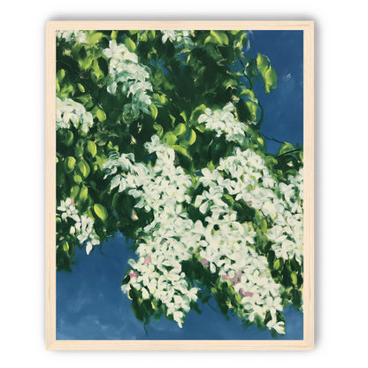 White blossoms on blue field