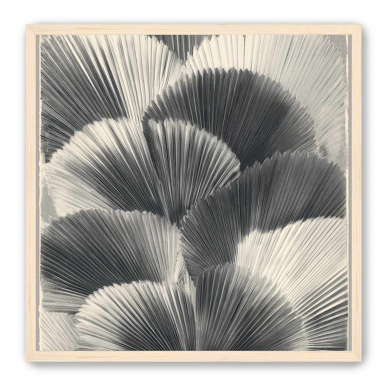Ginkgo leaves in shadow