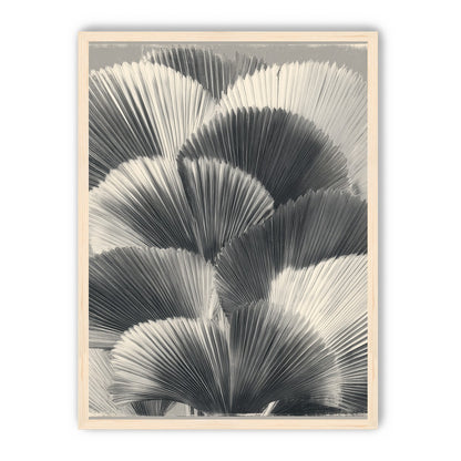 Ginkgo leaves in shadow