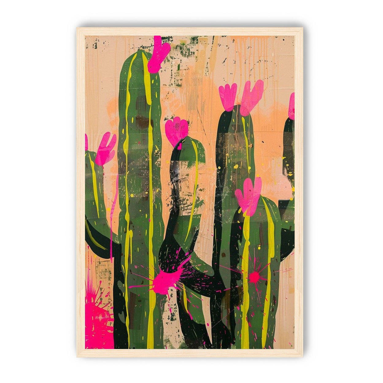 Pink blooms on cacti