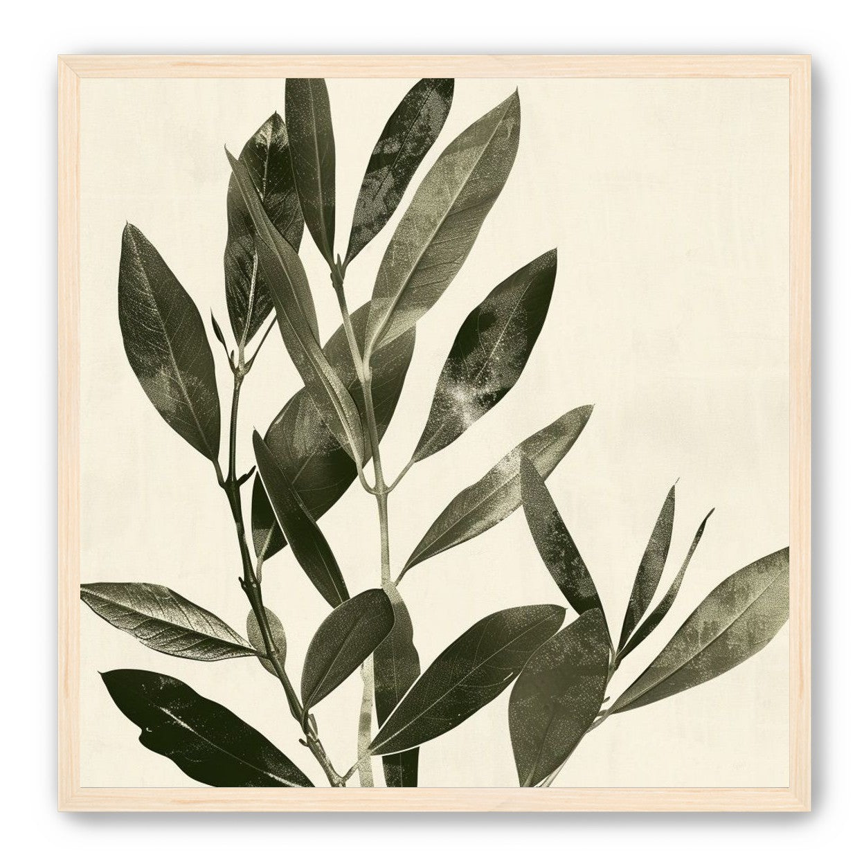 Dark leaves on pale field
