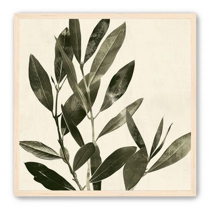 Dark leaves on pale field