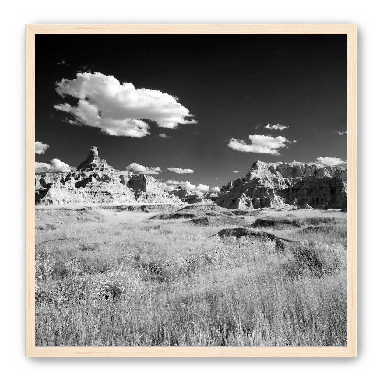 Badlands in Monochrome