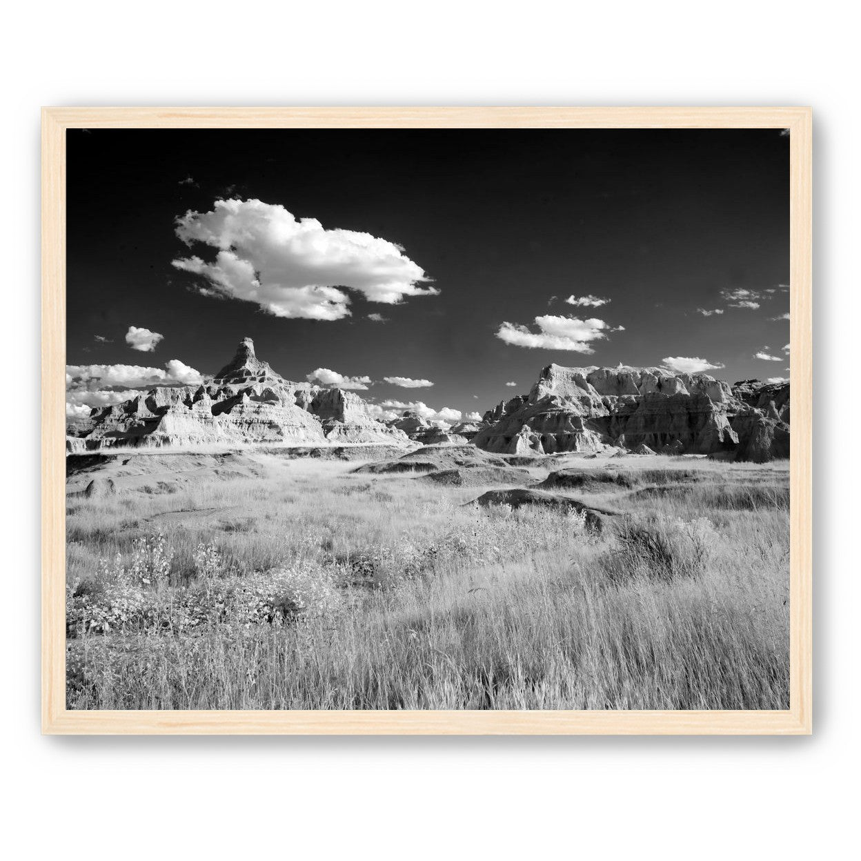 Badlands in Monochrome