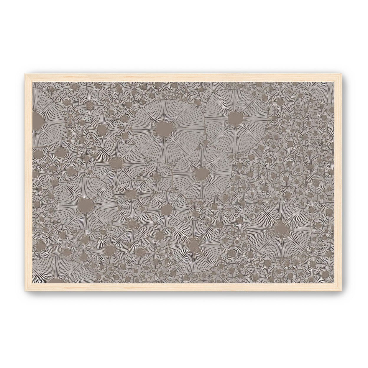Bold Coral