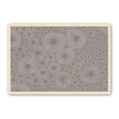 Bold Coral
