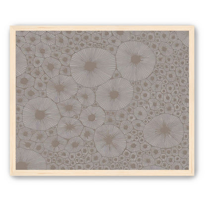 Bold Coral