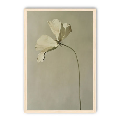 Cream petals in gray green air