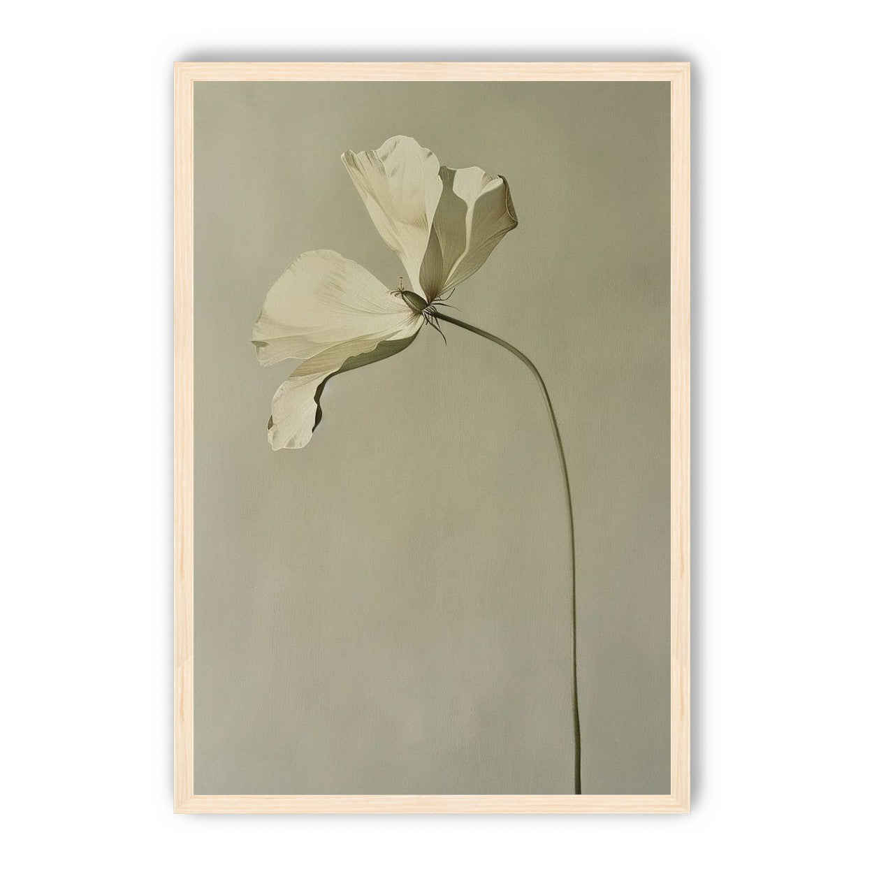 Cream petals in gray green air