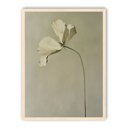Cream petals in gray green air
