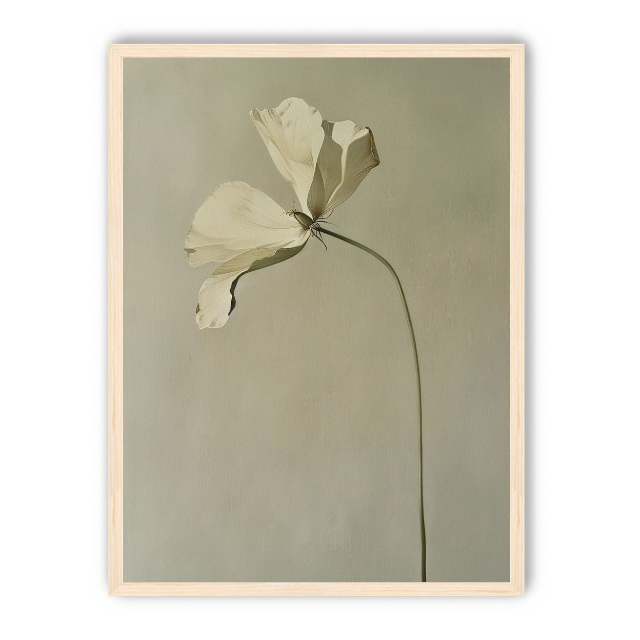 Cream petals in gray green air
