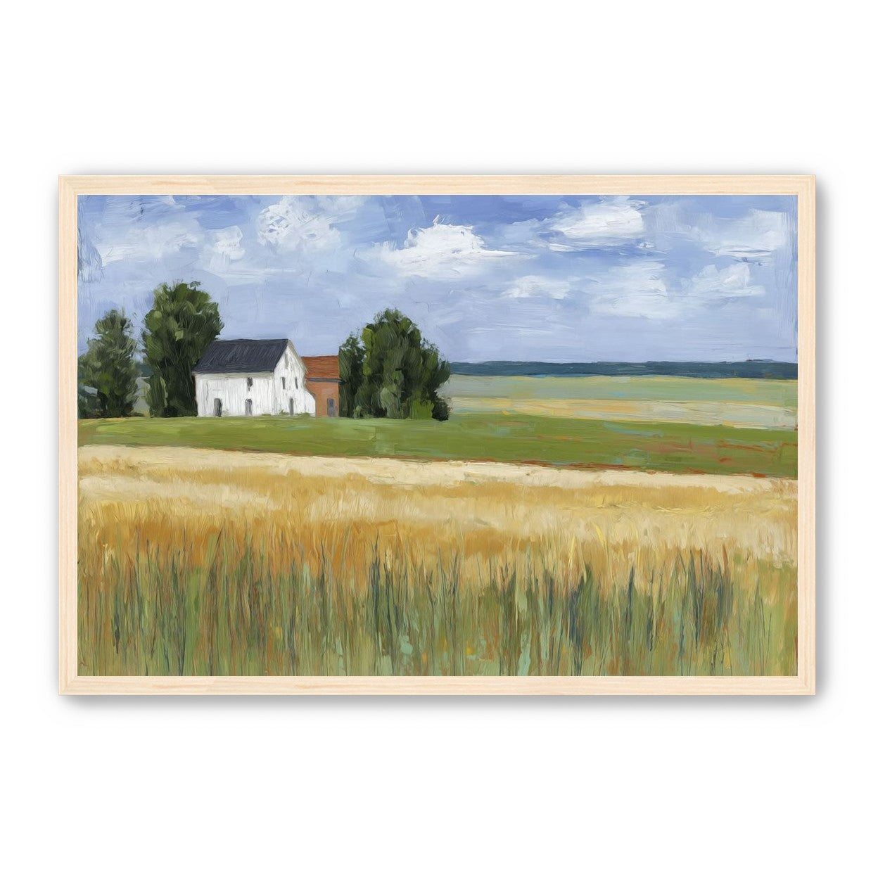 Grain Field Under Sun