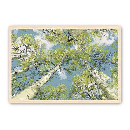Aspen Canopy I