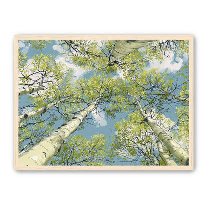 Aspen Canopy I
