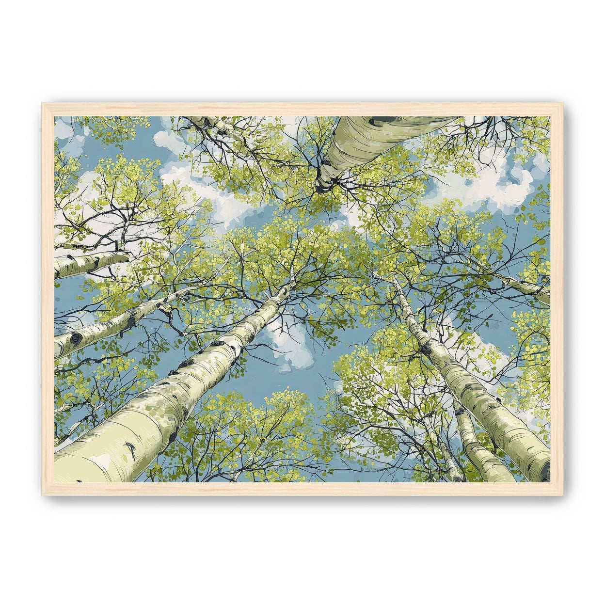 Aspen Canopy I