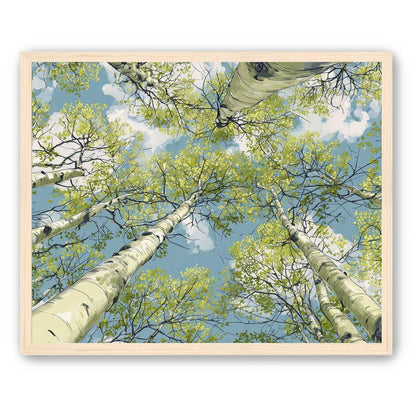 Aspen Canopy I