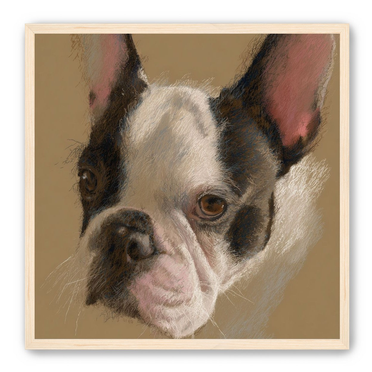 Close portrait with upright ears