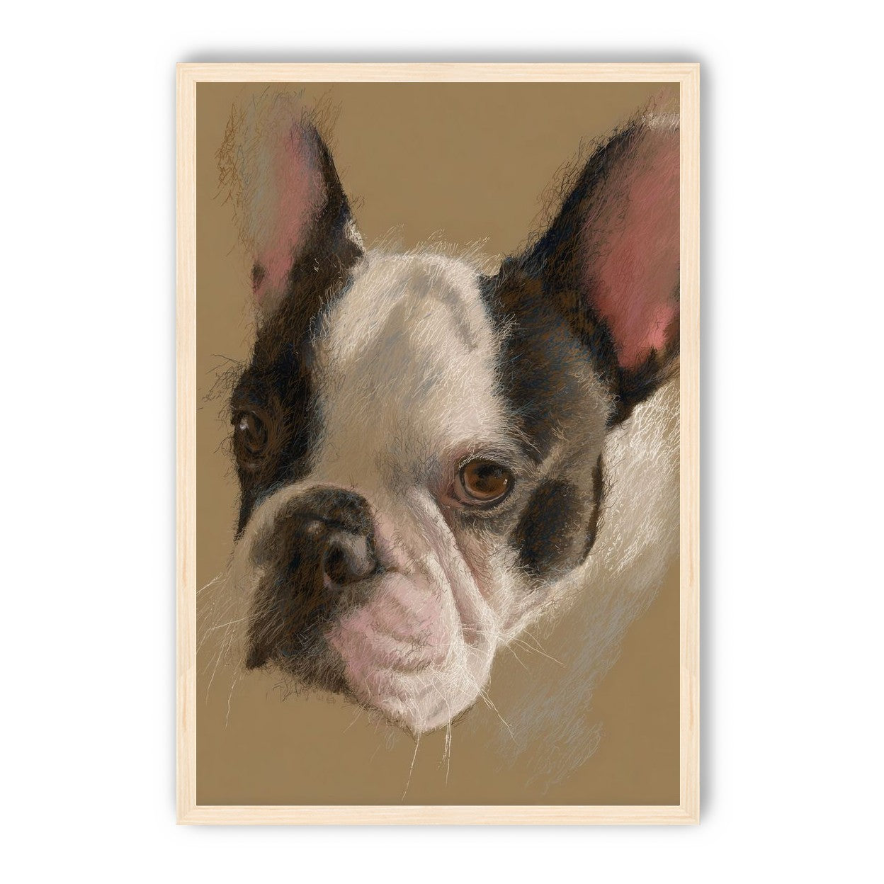 Close portrait with upright ears