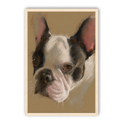 Close portrait with upright ears