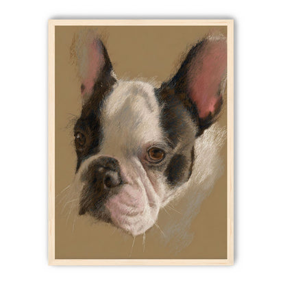 Close portrait with upright ears