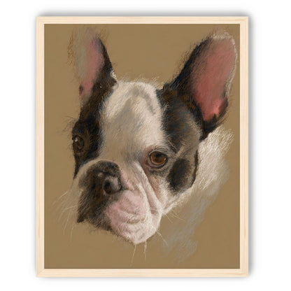Close portrait with upright ears
