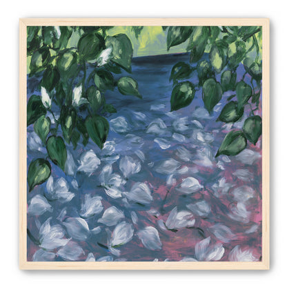 White petals on blue pond