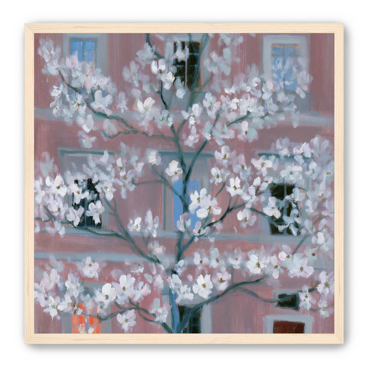 White blossoms against the pink house