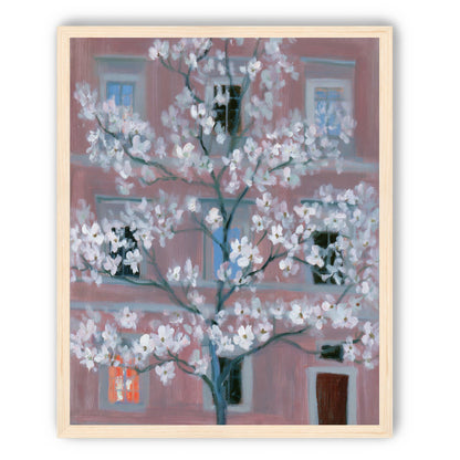 White blossoms against the pink house