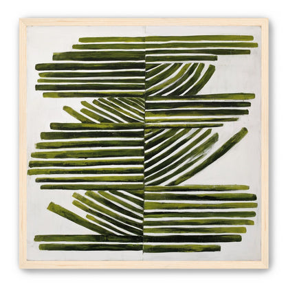 Olive bands with arcs