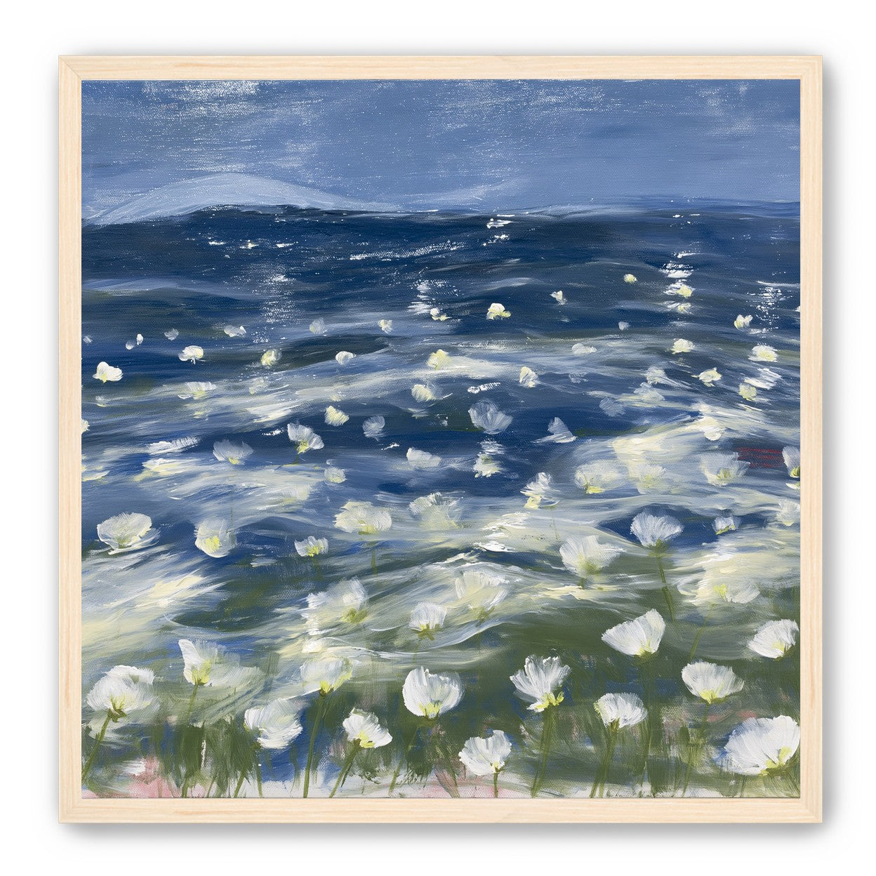 White flowers under blue sky