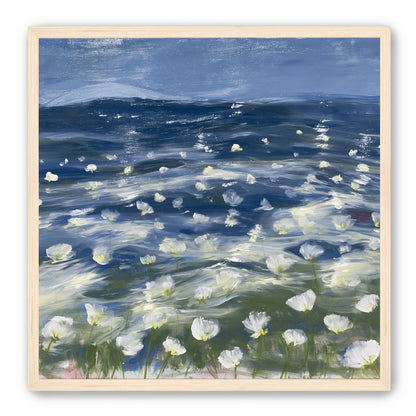 White flowers under blue sky
