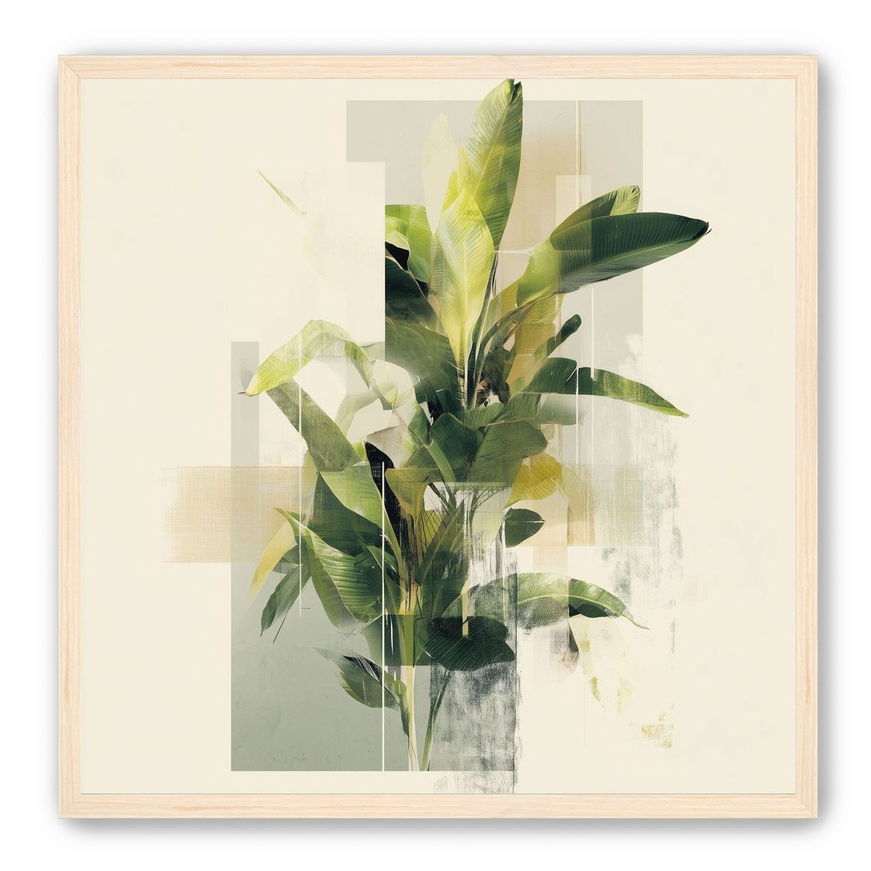 Plant in layered light