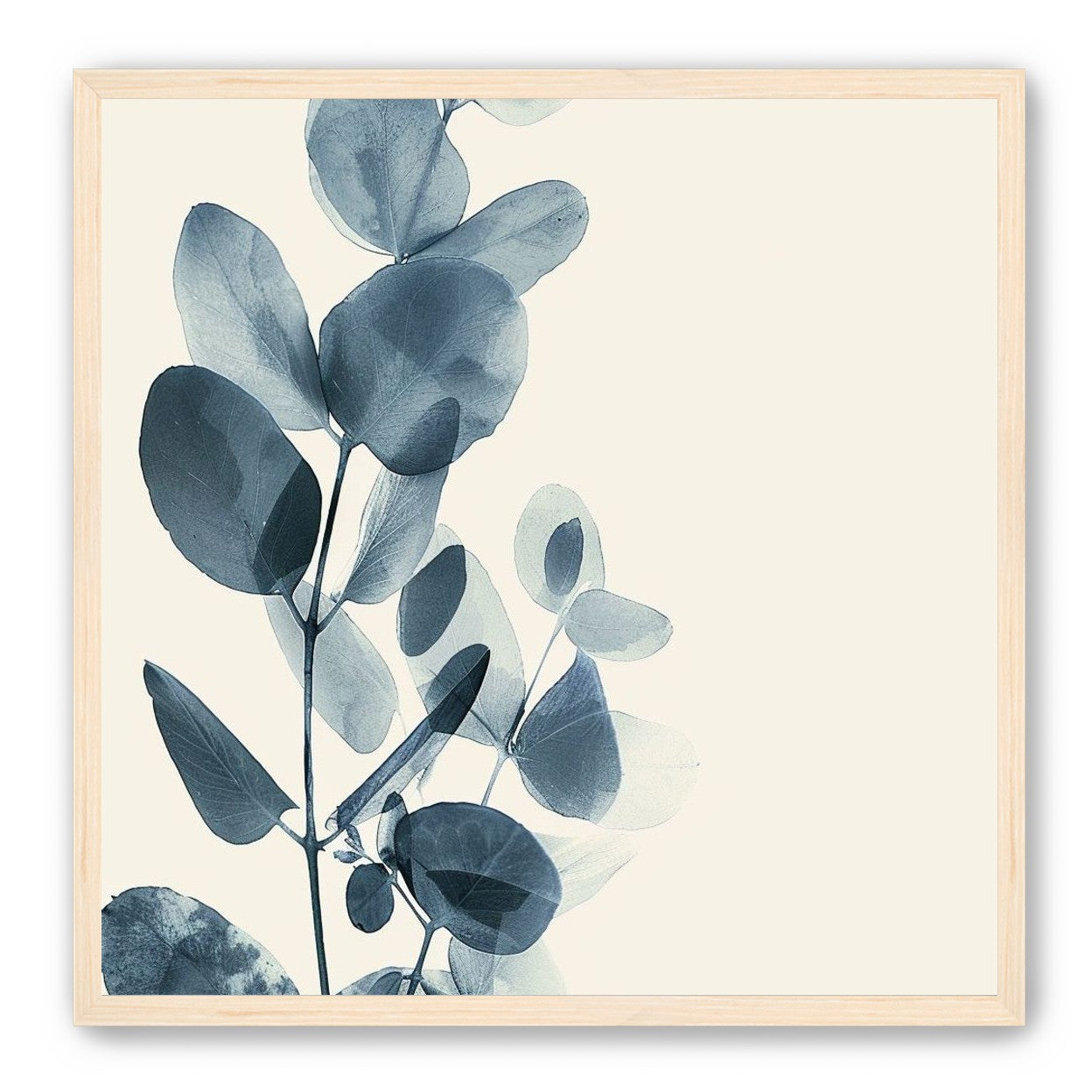 Eucalyptus in quiet blue