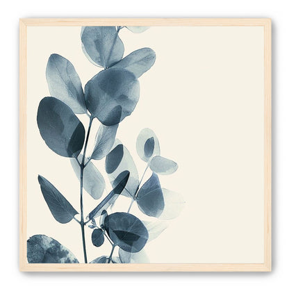 Eucalyptus in quiet blue