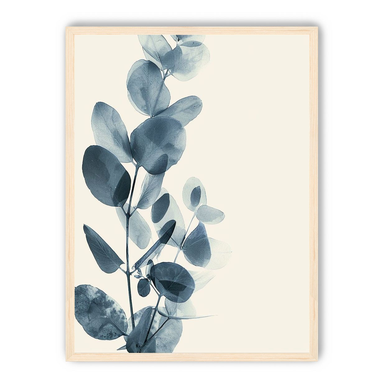 Eucalyptus in quiet blue