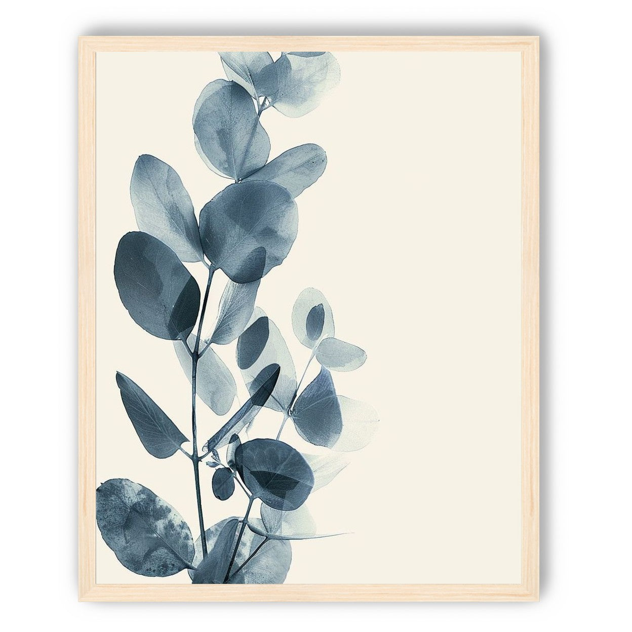 Eucalyptus in quiet blue