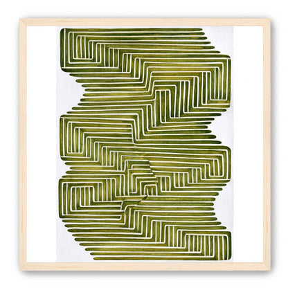 Olive bands in white quiet