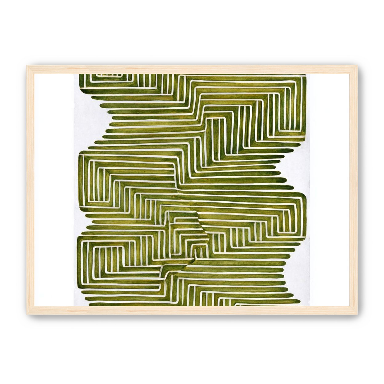 Olive bands in white quiet