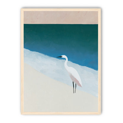 White egret at the shoreline