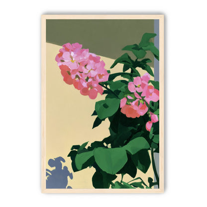 Pink blooms in hard light