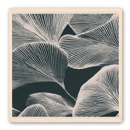 Pale veins on dark leaves