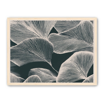 Pale veins on dark leaves
