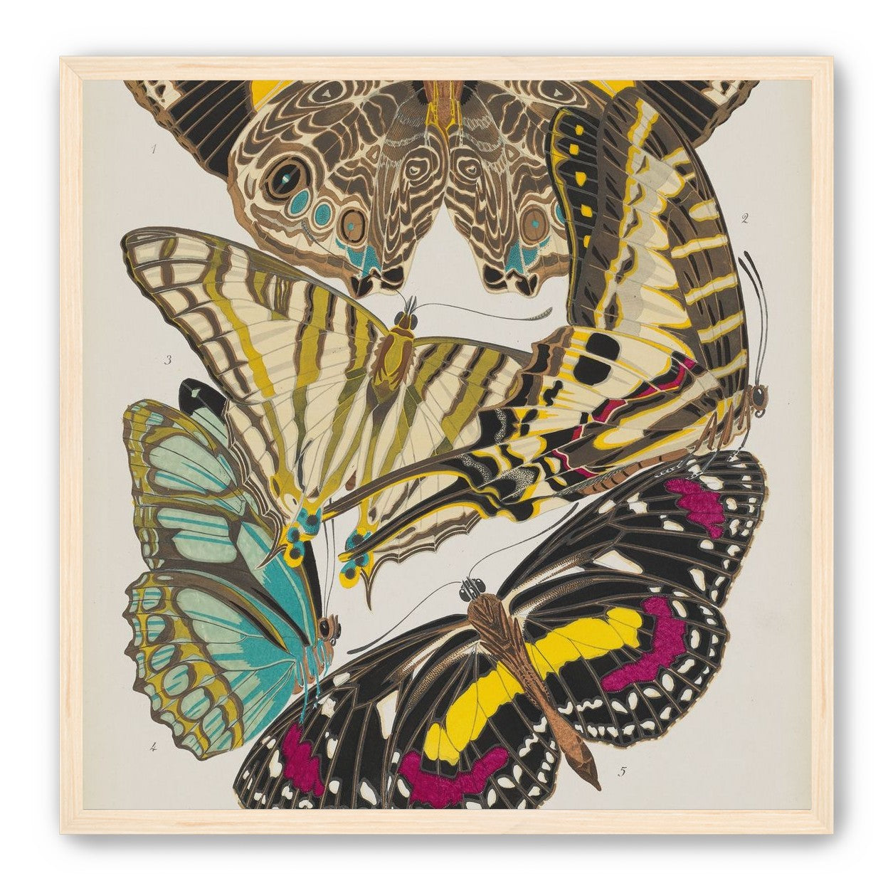 Butterflies among blank paper