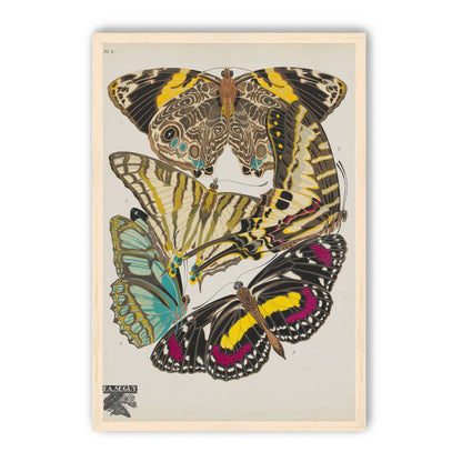 Butterflies among blank paper