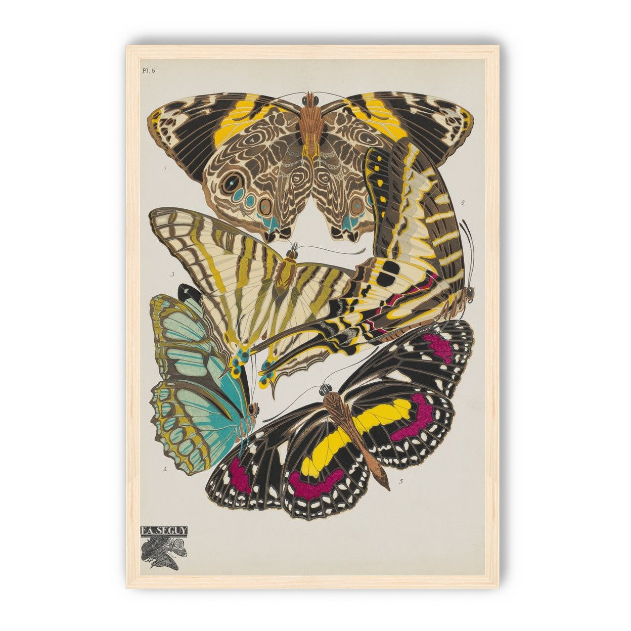 Butterflies among blank paper